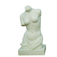 Female torso bust